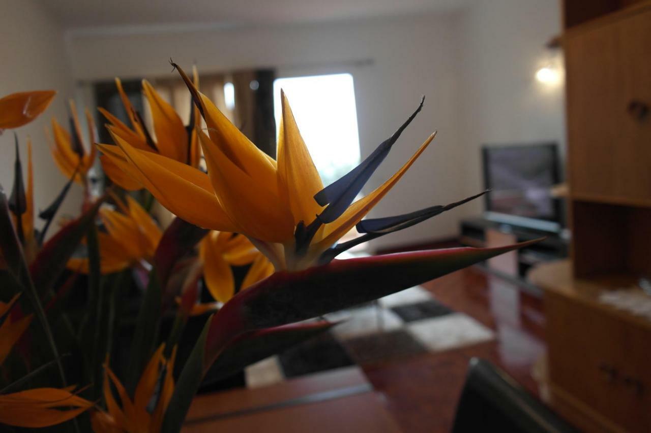 Inmaculado Apartment Funchal  Kültér fotó